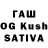 Галлюциногенные грибы Cubensis Jim Lawson